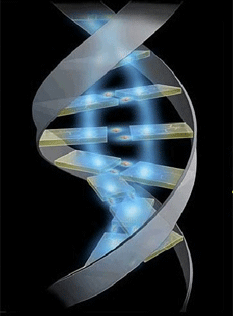DNA-double-helix-and-its-base-pairs