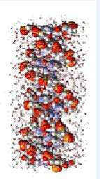 DNA surrounded by water molecules